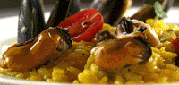 Kirkland Happy Hour @ Fiorente Ristorante