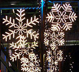 Snowflake Lane holiday lights and colors | Bellevue/Eastside Photo Gallery